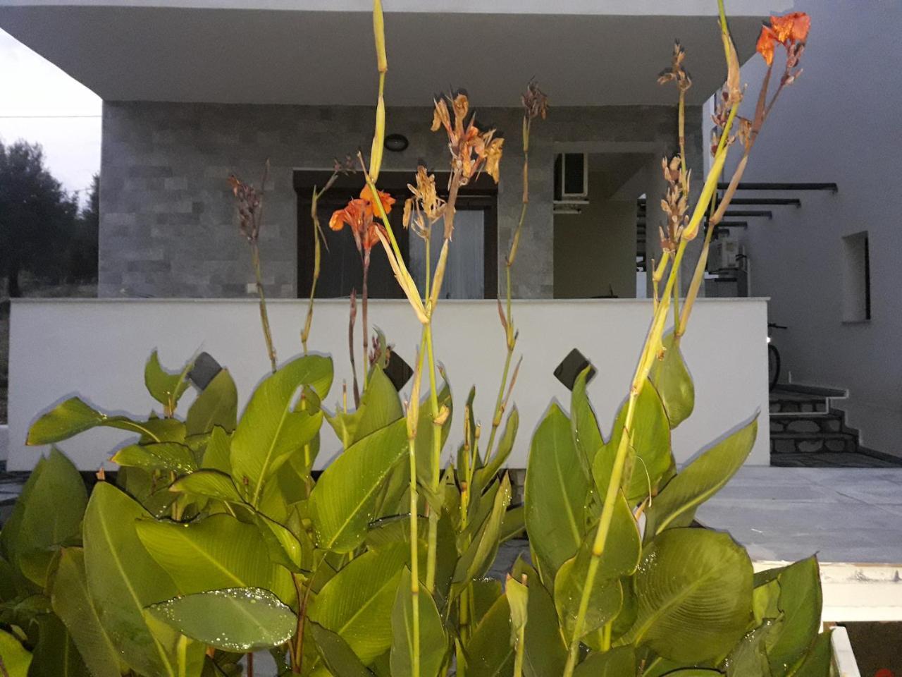 Villa Oliva อัสตริส ภายนอก รูปภาพ